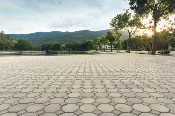 Best Permeable Paver Driveway  in Roessleville, NY